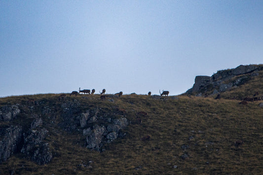 Behind The Scenes: Episode Two – Reds Roaring