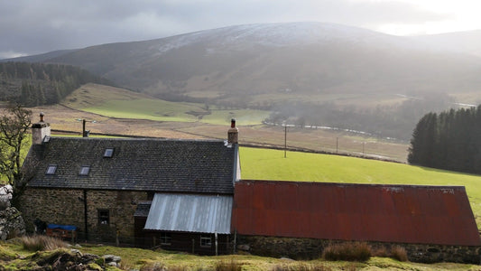 Behind The Scenes: Episode 8 - Adapting