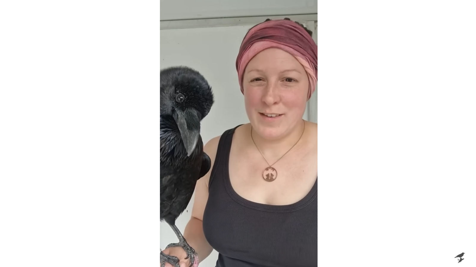 Load video: Video about differences between ravens and crows