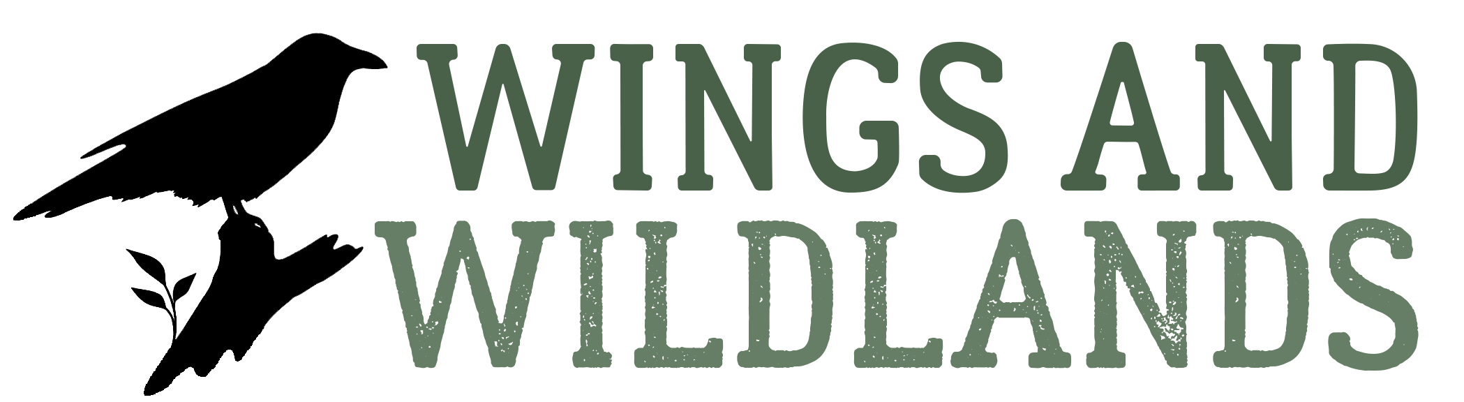Wings and Wildlands